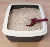litter-tray-etiquette-for-cat-owners-52ac24db2bedd